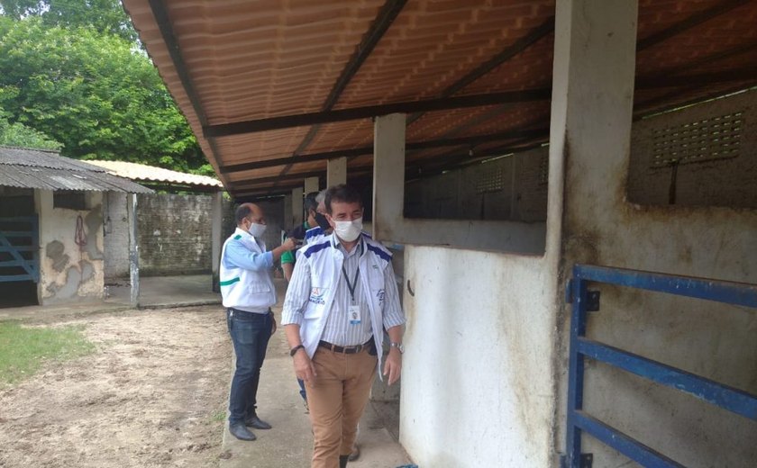 Vigilância Sanitária notifica haras com irregularidades na criação dos animais