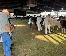 Etapa do Circuito Megaleite movimenta pistas da Expoagro e garante pontuação nacional ao rebanho Girolando