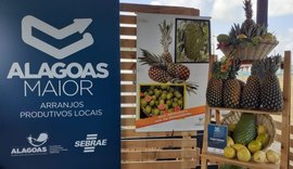 Estande do Sebrae Alagoas na Expoagro vai reunir produtos e serviços de setores da economia alagoana