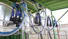 Ordenha móvel promete facilitar o trabalho dos produtores de leite de AL; entenda