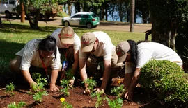 Cooperativas constroem cidades mais sustentáveis e inclusivas