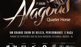 Catálogo do 7º Alagoas Quarter Horse está disponível na internet