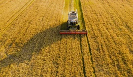 Puxado pelo agro, PIB do Brasil avança 1,4% no primeiro trimestre