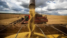 Projeto tenta tornar o agro a marca do Brasil