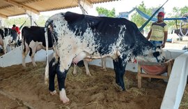 Senar e Faeal participam de Dia de Campo na Expo Bacia Leiteira