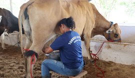 Genética da agricultura familiar mostra potencial no torneio leiteiro da Expo Bacia