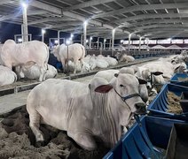 Expoagro 2025: 75 anos de tradição, inovação e protagonismo no Nordeste