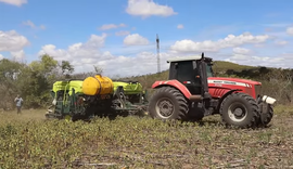 Fertilizante líquido revoluciona lavoura de milho no Agreste alagoano