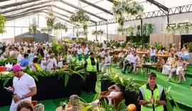 Eventos repensam práticas sustentáveis para reduzir impacto ambiental na virada do ano