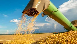 Cooperativas elevam investimentos apesar da queda nos preços das commodities