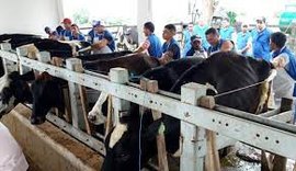 38ª Expo Bacia Leiteira divulga programação oficial
