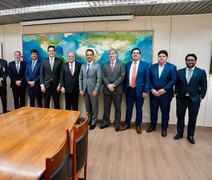 Dirigentes do setor sucroenergético nacional participam de audiência com Alckmin em Brasília