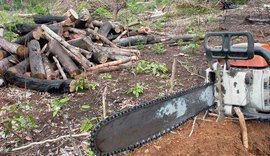 Crimes ambientais na Amazônia poderão ser denunciados por aplicativo