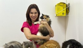 Pets necessitam de cuidados especiais com temperaturas em alta e clima seco