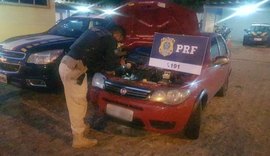 Homem é preso dirigindo veículo roubado com documentos falsos