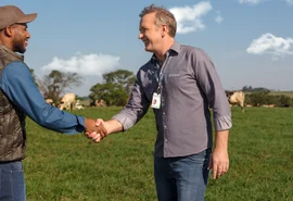 Cooperativa de crédito deve liberar R$ 4,2 bi em crédito rural no Plano Safra