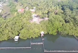 Substâncias tóxicas são encontradas no Rio Tatuamunha após morte de peixes-boi