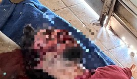 Homem é preso em Penedo acusado de homicídio brutal após briga