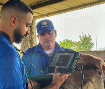 Curso de diagnóstico gestacional em bovinos está com inscrições abertas