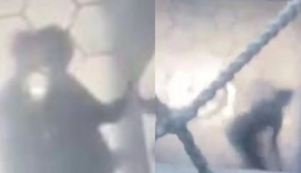 Casal de alunos é flagrado fazendo sexo dentro de universidade