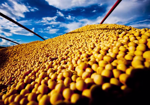 Preço da soja cai no Brasil, mas tendência é de alta