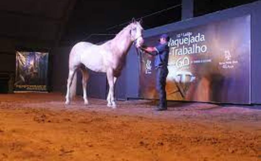 Agro CPMF e Haras Porto Rico promovem 2º etapa do Vaquejada e Trabalho
