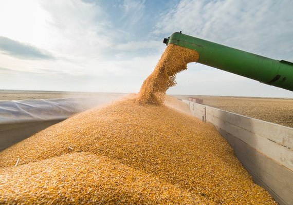 Nunca o Brasil exportou tanta soja