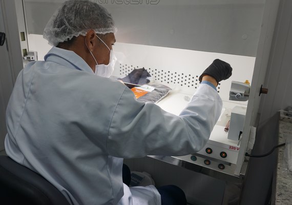 Produção de fungos e bactérias por biofábrica ajuda na produtividade do canavial