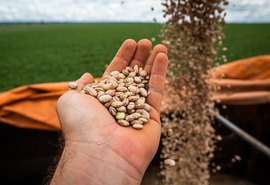 Senado aprova mudanças no Garantia-Safra e facilita acesso para agricultores