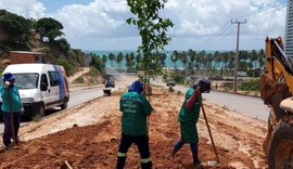 Prefeitura de Maceió inicia plantio de árvores em canteiro da Rota do Mar