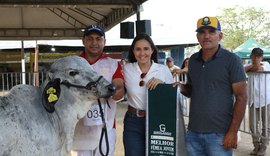 Expo Bacia Leiteira encerra edição com legado de competitividade e projeta crescimento no setor