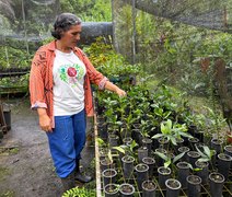 Agricultura de baixo carbono se transforma em realidade no campo alagoano