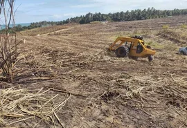 Dos 17,4 milhões de toneladas de cana da safra 24/25, sete milhões foram de fornecedores