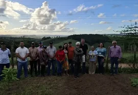 Mar Vermelho inicia plantio de flores temperadas com projeção de mercado nacional