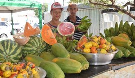 Com alimentos saudáveis e programação cultural, feira leva o campo para a cidade nos dias 9 e 10 de maio