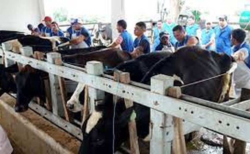38ª Expo Bacia Leiteira divulga programação oficial