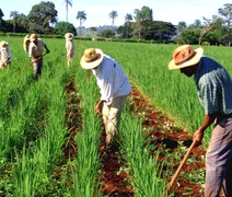 Diagnóstico de Negócios é aplicado em cooperativa alimentícia alagoana