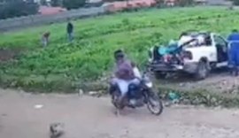 Homem é denunciado pelo MP-AL por agredir cadela com paulada em Delmiro Gouveia