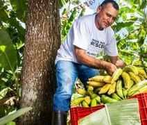 ONU reforça papel das cooperativas como agentes de transformação social