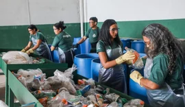 Cooperativas brasileiras têm grandes desafios antes da COP30
