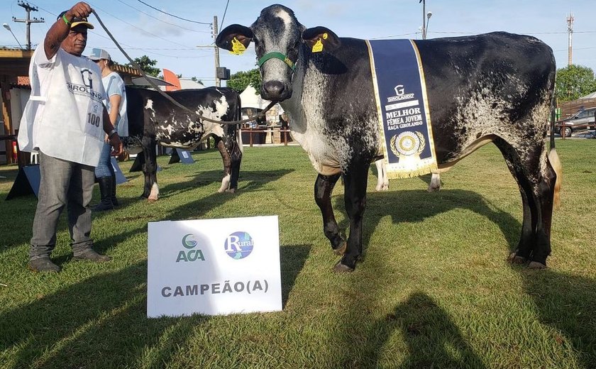 71ª Expoagro/AL vai sediar eventos regionais da raça Girolando