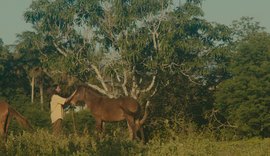 Cantor alagoano lança videoclipe inspirado em memória afetiva