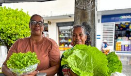 Feiras fortalecem agricultura familiar e celebram protagonismo feminino no campo