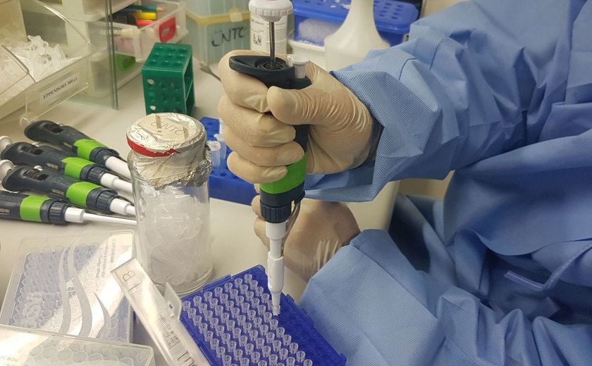 Exame para identificar Zika vírus é comercializado no país