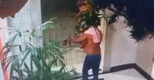 Jornal De Alagoas Homem Invade Pr Dio E Furta Rvore De Natal Da Portaria