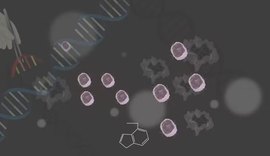 Cientistas criam célula CAR-T 'turbinada' com nanogel para superar barreira de tumores cancerígenos sólidos
