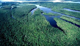 Pesquisa de conservação da Amazônia ganha prêmio nacional