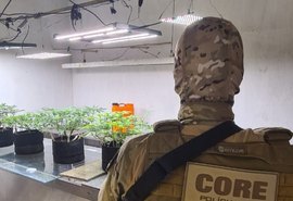 Polícia Civil desmantela estufa de maconha em Maceió