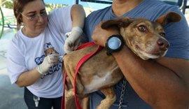 Alagoas inicia campanha de vacinação antirrábica para cães e gatos