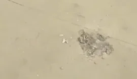 Vídeo: praça de Maceió recém-inaugurada é alvo de depredação e roubo